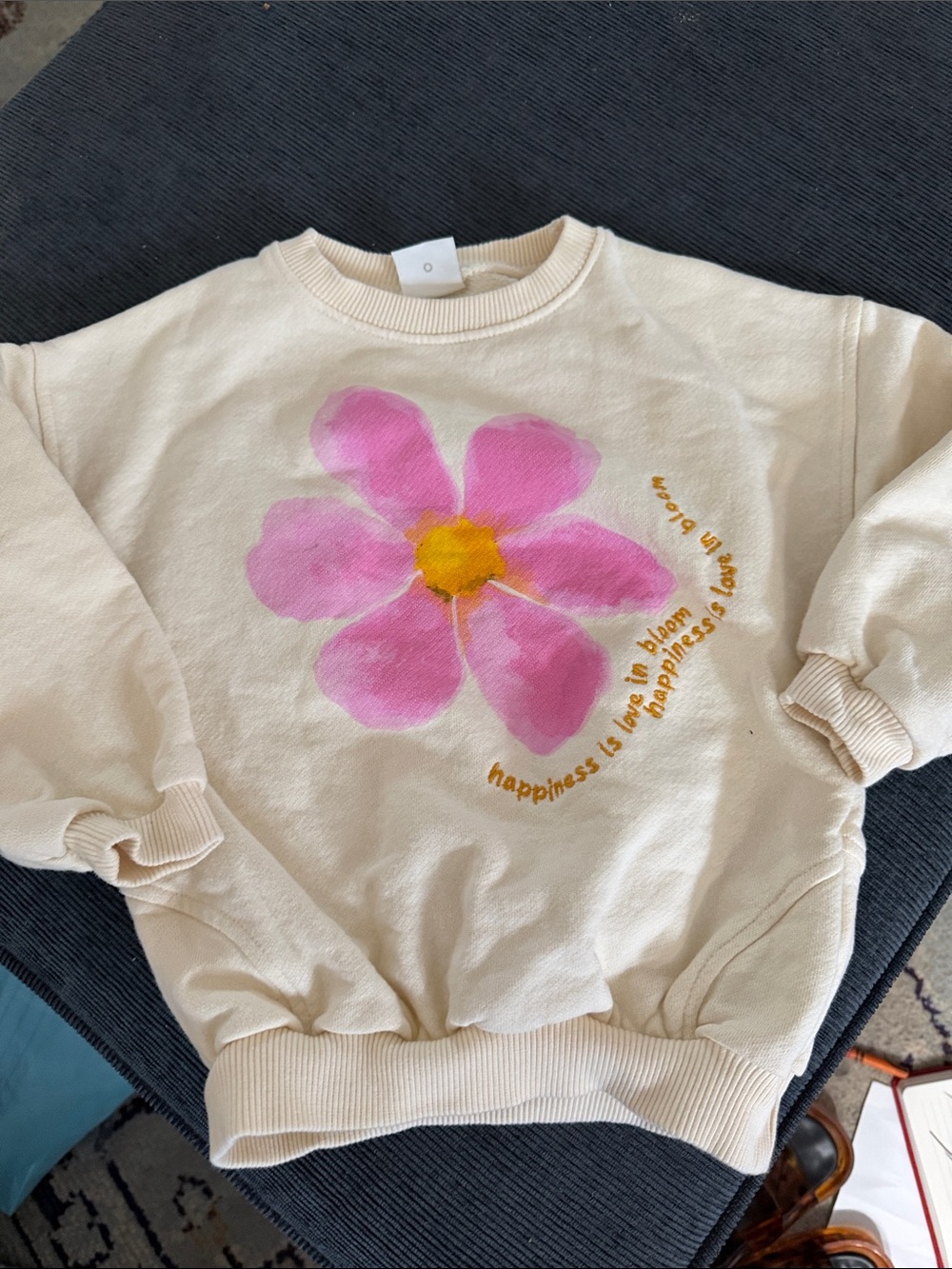 Zara Sweatshirt with Pink Flower Graphic